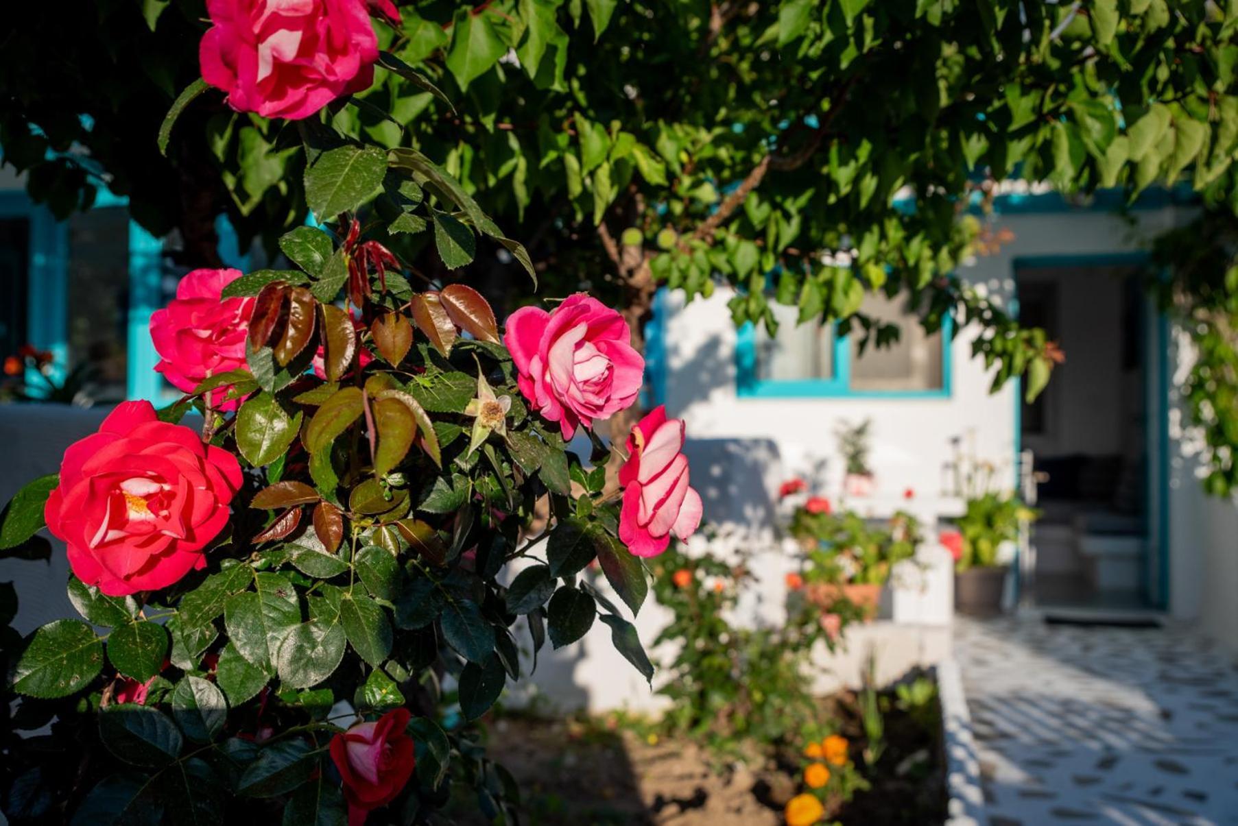 Azzurro Naxos, Azzurro I - Azzurro II - Azzurro III Daire Naxos City Dış mekan fotoğraf